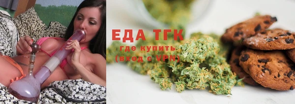 ECSTASY Горняк