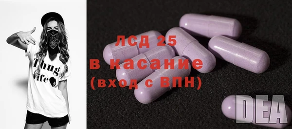 ECSTASY Горняк