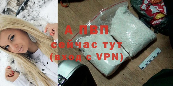 ECSTASY Горняк