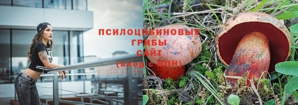 ECSTASY Горняк