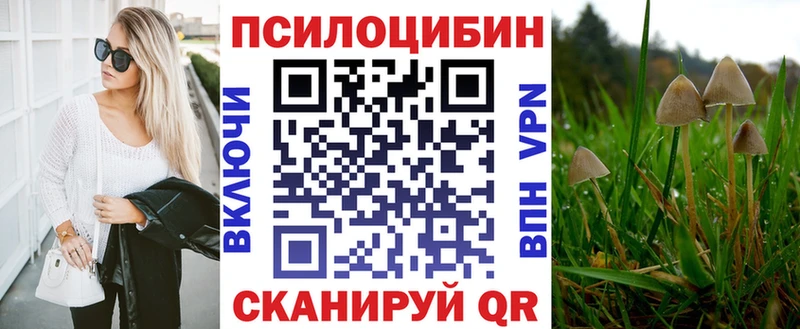 Псилоцибиновые грибы мицелий  Черноголовка 